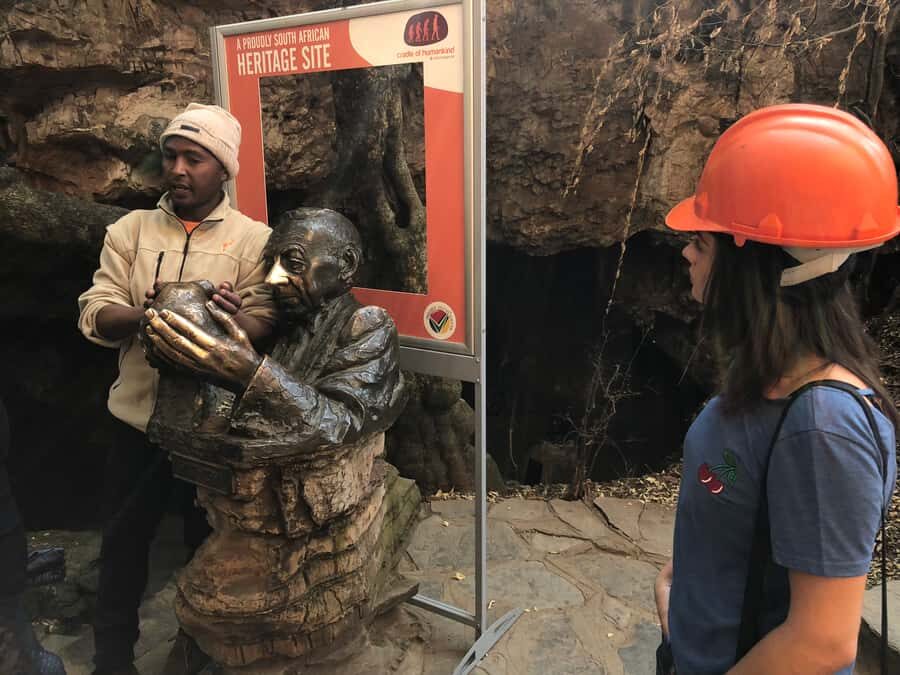 From Johannesburg: Cradle of Humankind and Lion Safari - Pickup Zones, Van Travel, and How the Small Group Helps