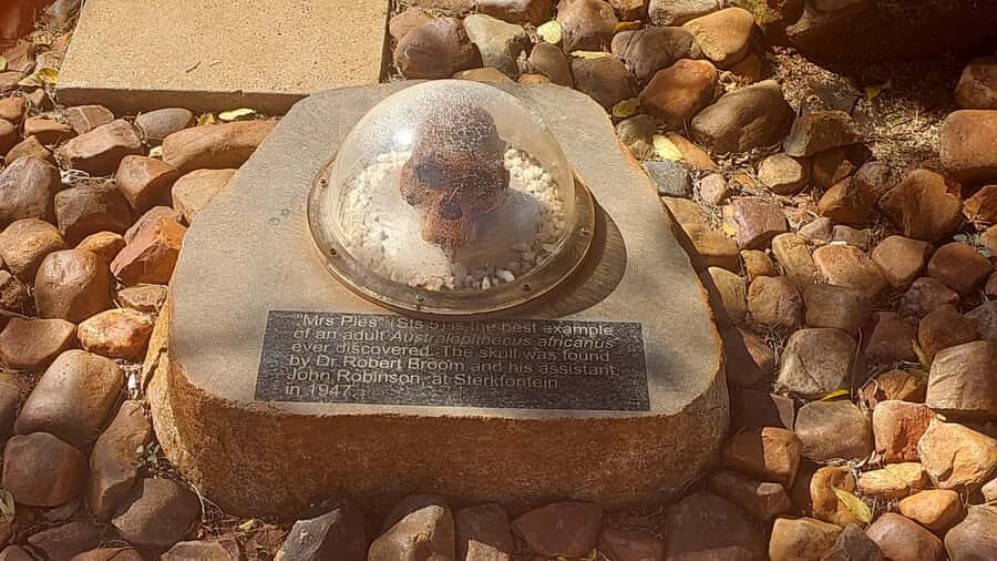 From Johannesburg: Cradle of Humankind Private Half-Day Tour - Key Things to Know Before You Go