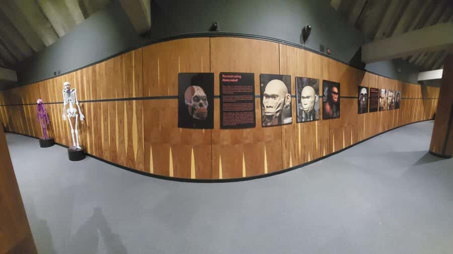 From Johannesburg: Cradle of Humankind Private Half-Day Tour - From Johannesburg to the Cradle of Humankind in 5 Hours