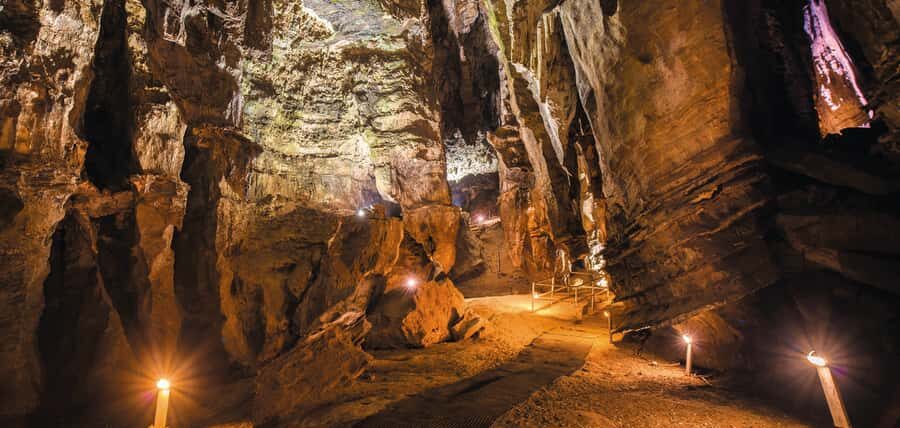 From Johannesburg: Cradle of Humankind Tour - Pickup, drive time, and how the day flows in 7 hours