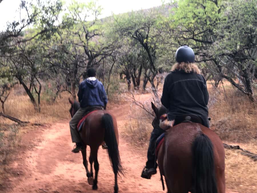 From Johannesburg: Horse-Riding Safari and Cable Car Tour - My honest “should you book?” verdict