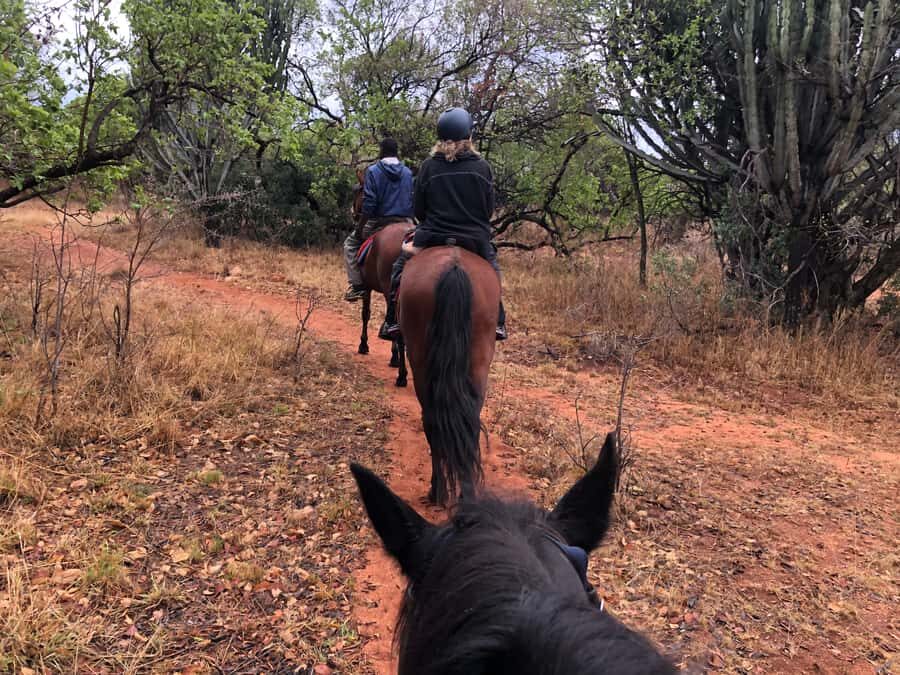 From Johannesburg: Horse-Riding Safari and Cable Car Tour - Small-group English guidance: practical, not loud