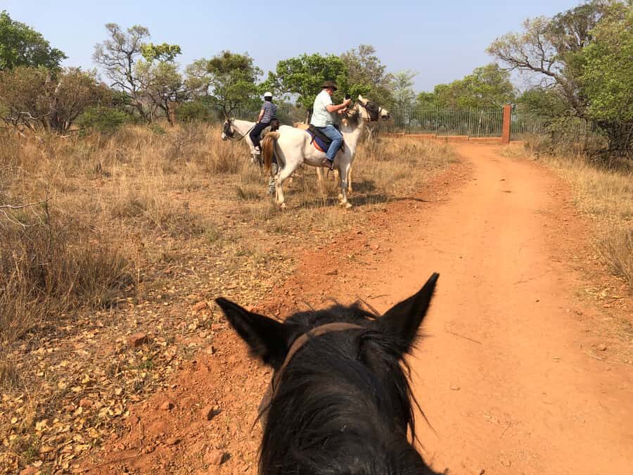 From Johannesburg: Horse-Riding Safari and Cable Car Tour - Price and value: is $242 worth it?