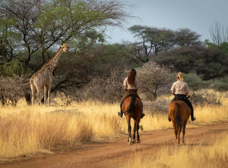 From Johannesburg: Horse-Riding Safari and Cable Car Tour - Two hours on horseback: antelope and giraffe, up close