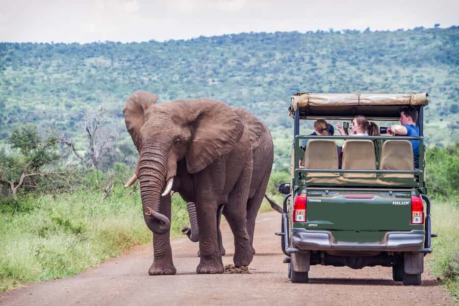 From Johannesburg: Pilanesberg Wildlife Safari - Switch to an Open Jeep: How the Best Viewing Usually Happens