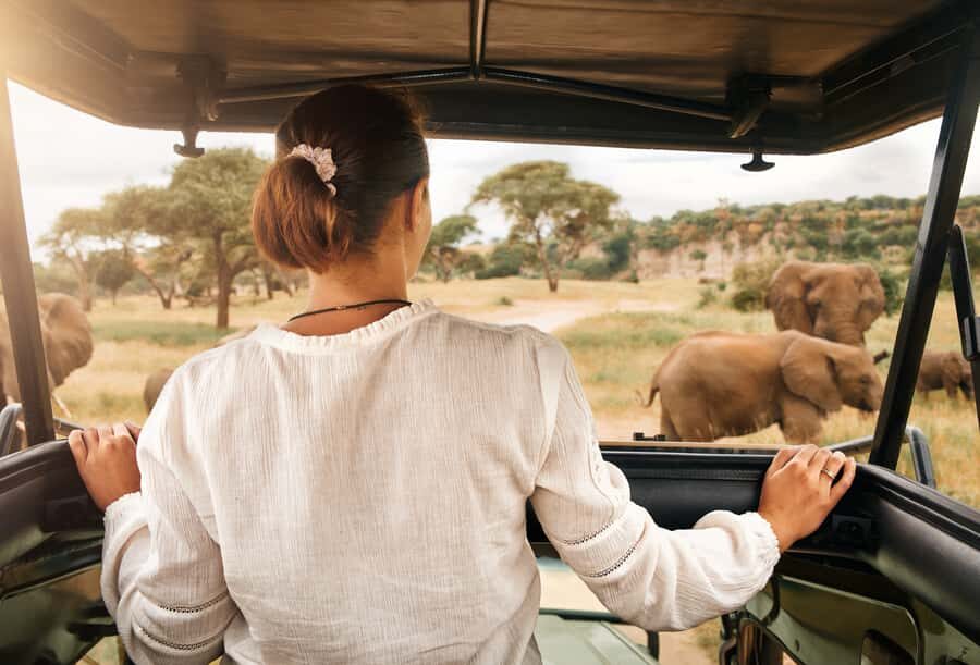 From Johannesburg: Pilanesberg Wildlife Safari - Lunch in the Reserve: Simple Fuel Without Pulling You Off Course
