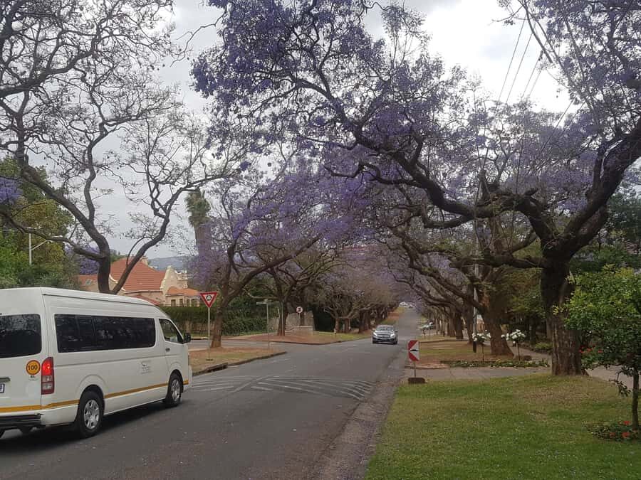 From Johannesburg: Pretoria Half Day Tour - Key Highlights You’ll Actually Feel