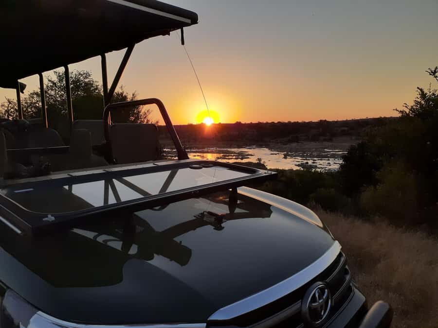 From Malelane: Half Day Kruger Park Wildlife Safari - Key Things to Know Before You Go