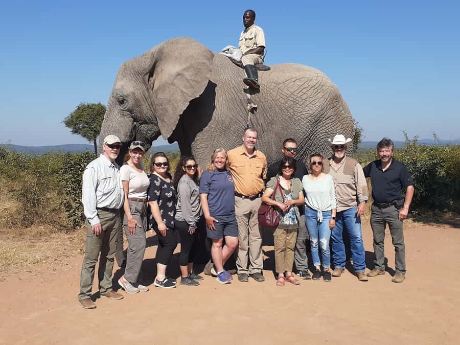 From Malelane: Half Day Kruger Park Wildlife Safari - Big Five Odds With a Private Guide and Radio-Backed Spotting