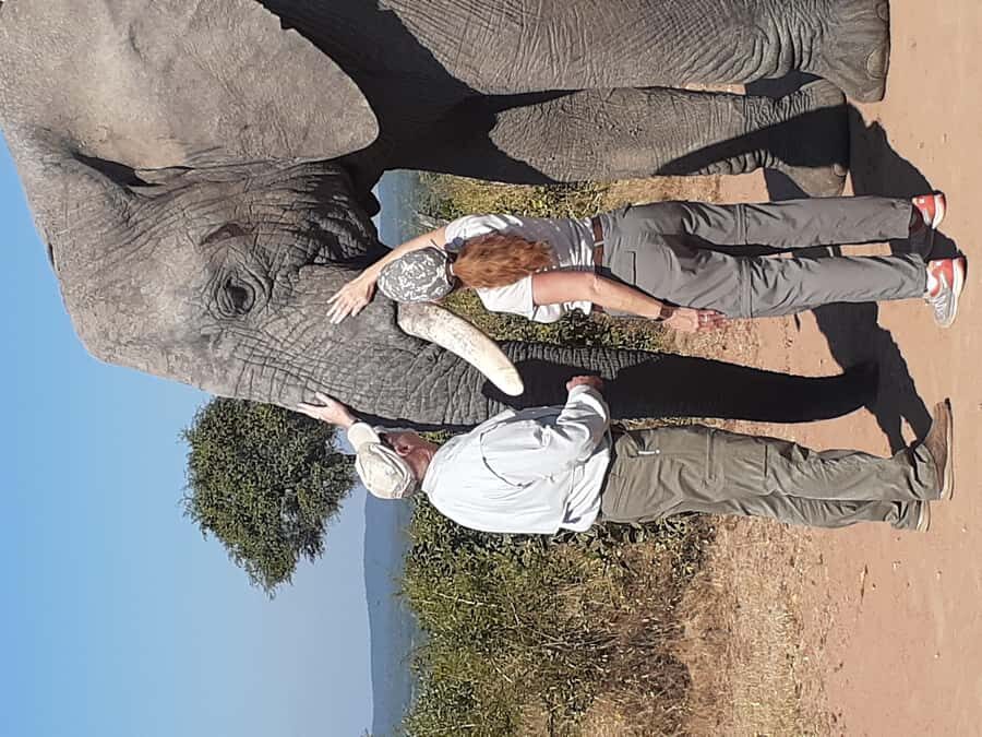 From Malelane: Kruger National Park Full-Day Safari - Guides Make the Difference: Buti Sbu, Sibu, and the Big Five Focus