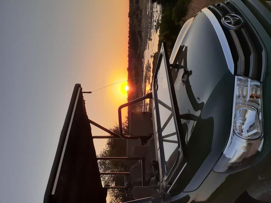 From Malelane: Kruger National Park Full-Day Safari - What to Bring (and What Not to Do) for a Smooth Safari Day