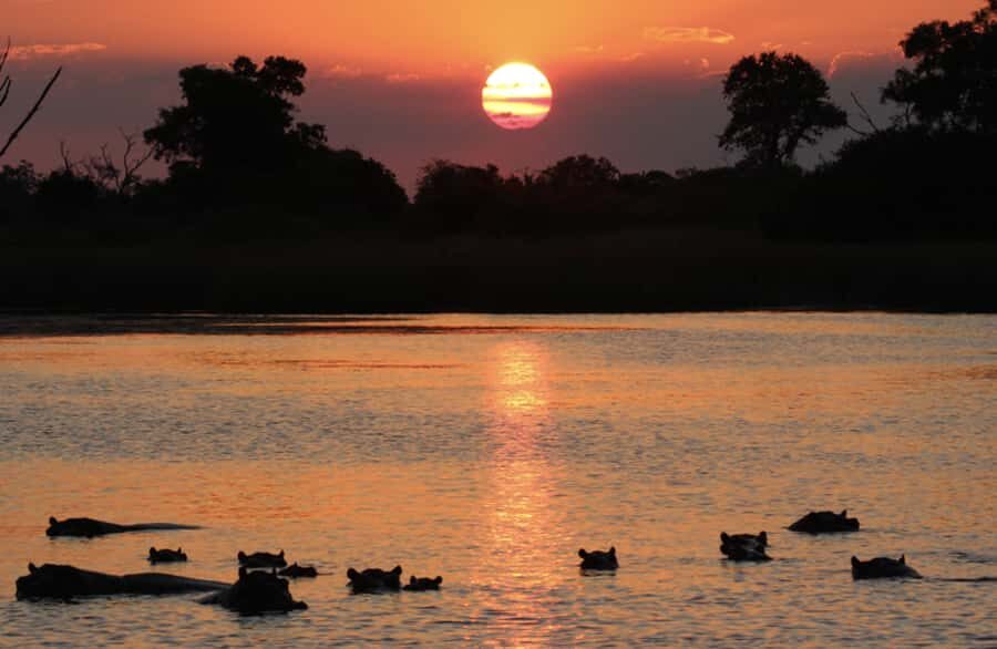 From Marloth Park: Sunset River Cruise Safari - Komati and Crocodile River: What You’re Really Chasing