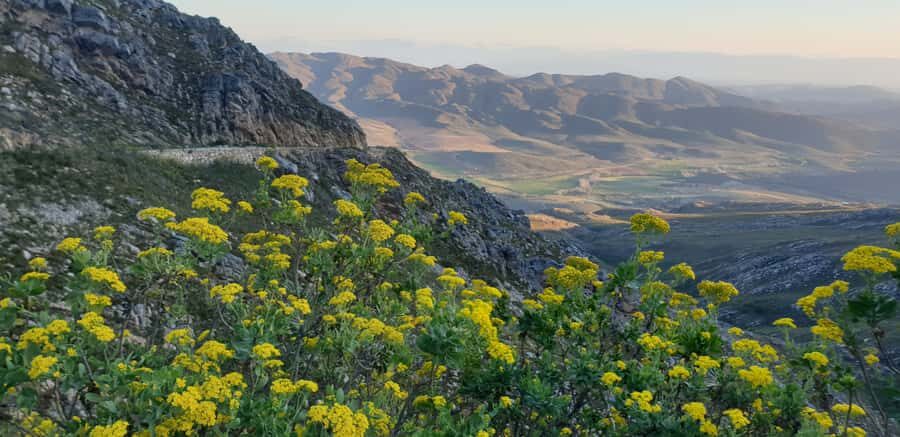 From Oudtshoorn: Full-Day Private Swartberg Mountain Tour - Prince Albert Lunch Stop: A Real Midday Reset Before the Waterfall
