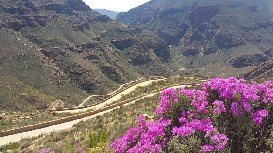 From Oudtshoorn: Full-Day Private Swartberg Mountain Tour - Meiringspoort Waterfall at 60 Meters: Why This Stop Works in a Private Day