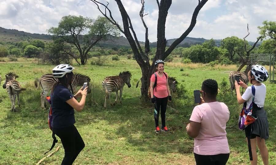 From Pretoria: E-Bike in the wild with game near Jo'burg - The birds, the Iron Age caves, and the human stories in the background