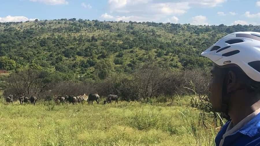 From Pretoria: E-Bike in the wild with game near Jo'burg - Meeting up and getting the e-bike ready to match your height