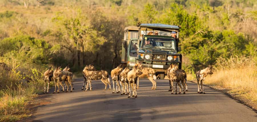 From St Lucia: 3 Day 2 Night Hluhluwe,St Lucia, iSimangaliso - Big Five Expectations: What’s Realistic Here (and Why It Still Works)