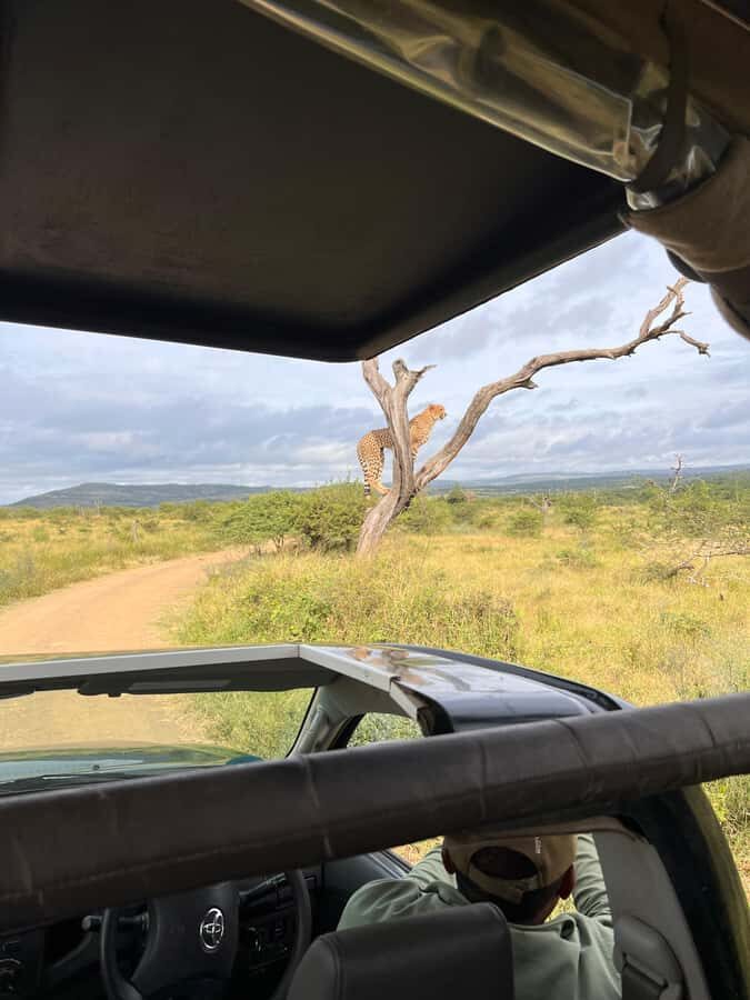 From St Lucia: 3 Day 2 Night Hluhluwe,St Lucia, iSimangaliso - Price and Value: What You’re Really Buying for $383 Per Person