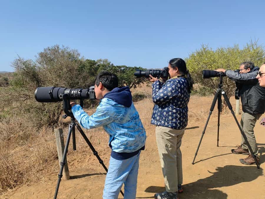 From St Lucia: Big 5 Safari in the Hluhluwe-Imfolozi Park - Key Reasons This Safari Works So Well