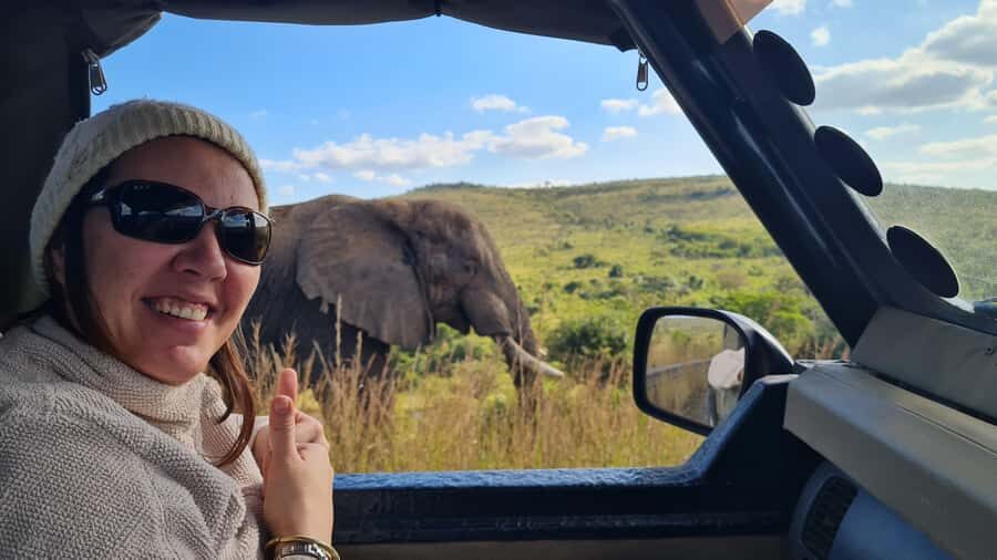 From St Lucia: Big 5 Safari in the Hluhluwe-Imfolozi Park - Price and Value Check: Is $158 a Good Deal?