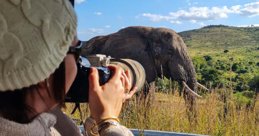 From St Lucia: Big 5 Safari in the Hluhluwe-Imfolozi Park - Getting From St Lucia to the Park: A Smooth, No-Fuss Start