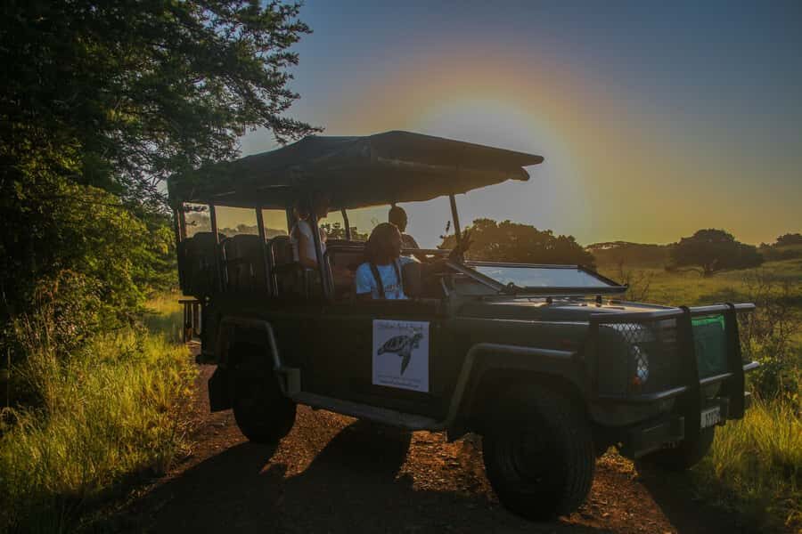 From St Lucia: Cape Vidal Full-Day Snorkeling Safari - Key things that make this tour work