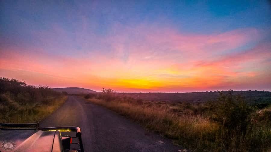 From St Lucia: iSimangaliso Sunset Safari - Why the Eastern Shores at sunset is a smart way to see iSimangaliso