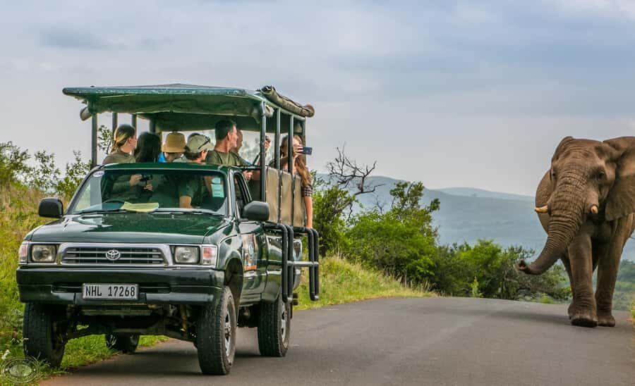 From St Lucia: iSimangaliso Sunset Safari - Wildlife spotting tips that match this exact kind of safari