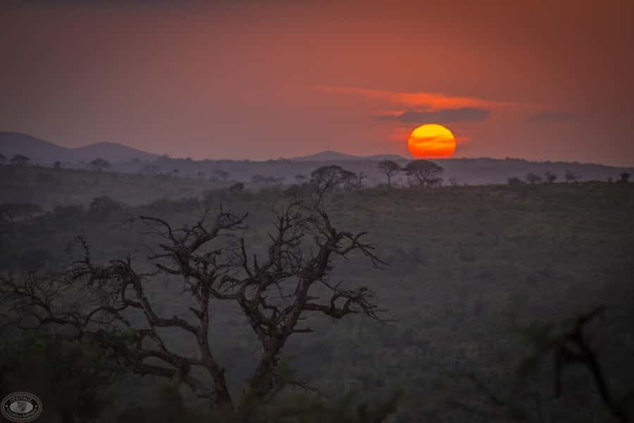 From St Lucia: iSimangaliso Sunset Safari - Price and what $39 gets you in real-world value