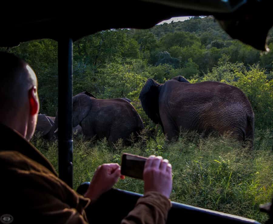 From St Lucia: iSimangaliso Wetland Park Night Drive Safari - Getting started: pickup from Abiel Publishing and settling in
