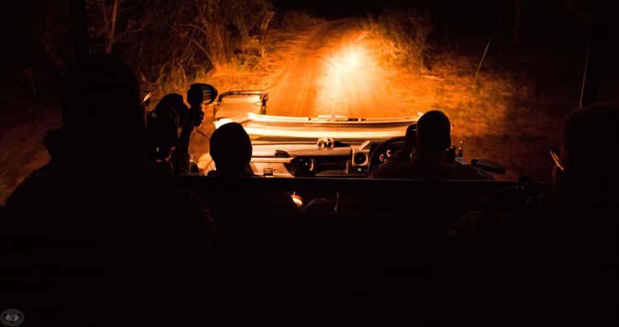 From St Lucia: iSimangaliso Wetland Park Night Drive Safari - Timing and the 3-hour plan: 7 PM or 8 PM, then into the dark