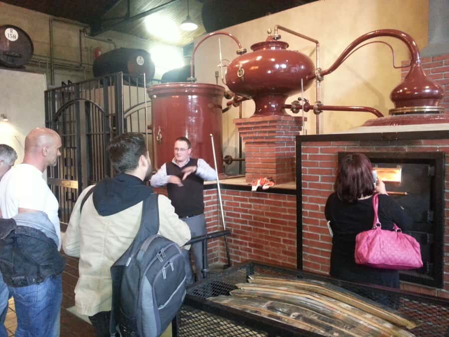 From Stellenbosch: Hop-On Hop-Off Wine Tour Southern Route - Key things that make this tour worth your time