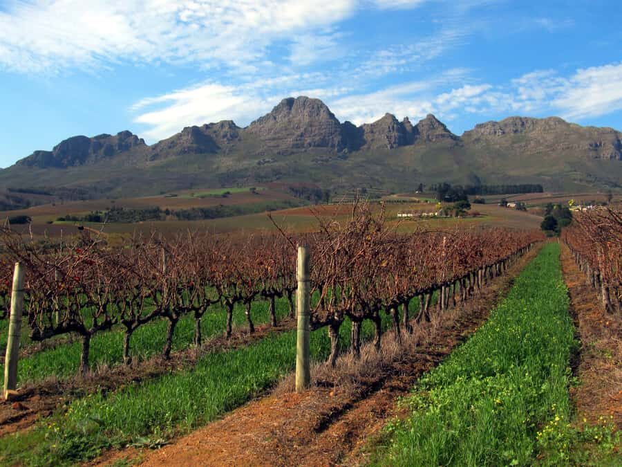 From Stellenbosch: Hop-On Hop-Off Wine Tour Southern Route - Estate-by-estate: how to choose where you get off