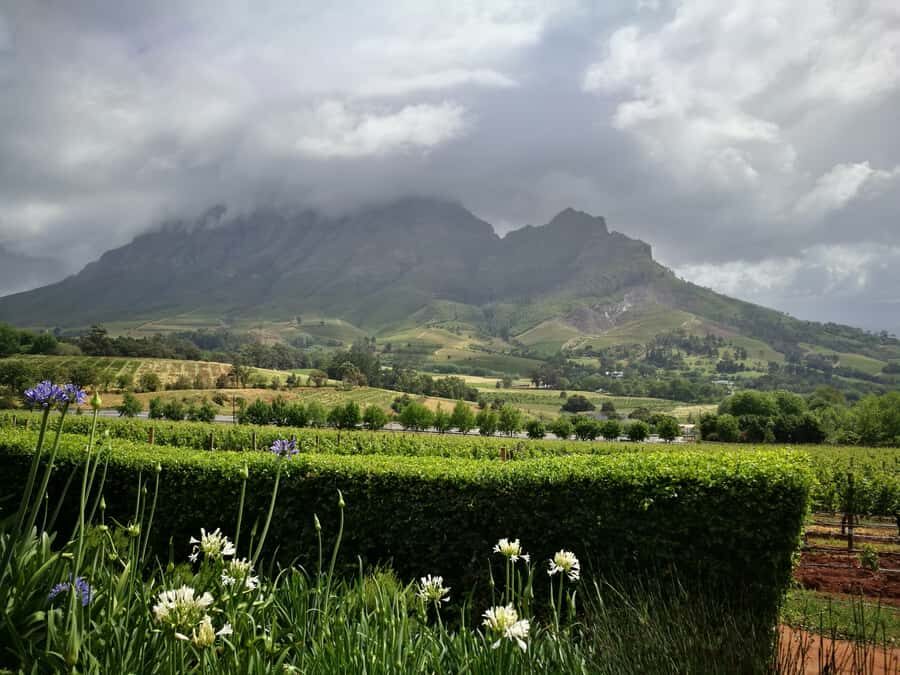 From Stellenbosch: Stellenbosch Guided Vineyard Walk - Lunch, mountains, and the practical outdoor details