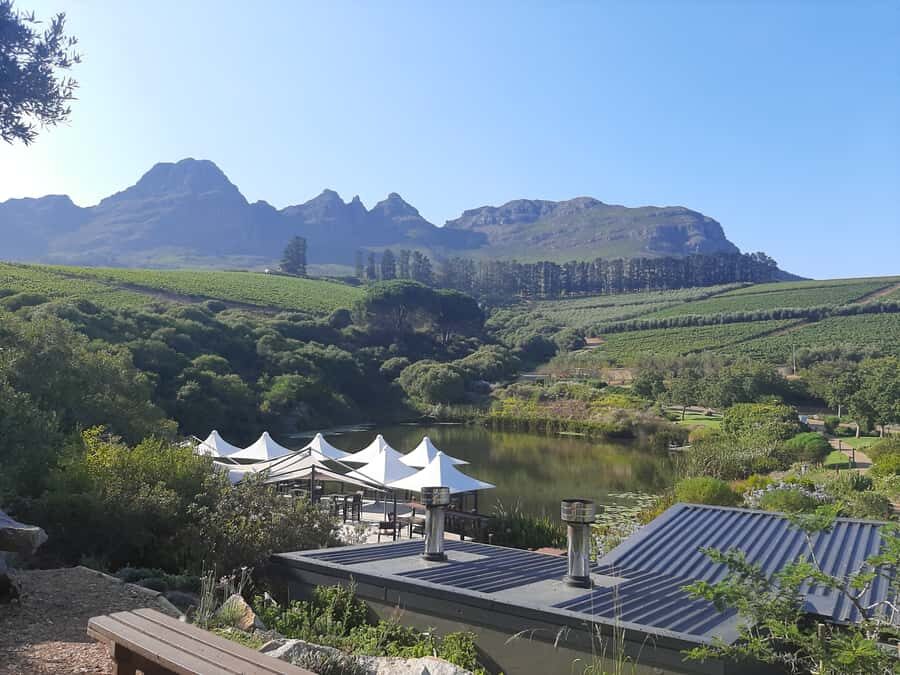 From Stellenbosch: Stellenbosch Guided Vineyard Walk - Price and value check for $96 per person