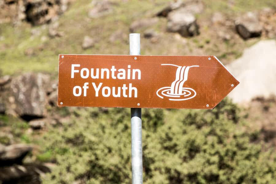 From Underberg: Sani Pass Private Day Tour - Lunch at Sani Mountain Lodge: break time plus a practical altitude pause