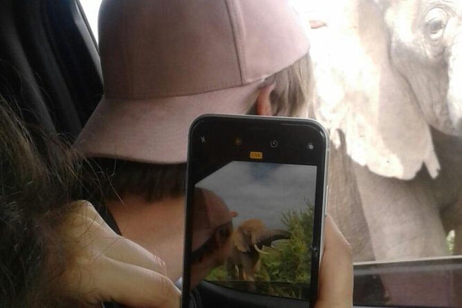Full Day Addo Elephant National Park Safari wit BBQ:Thentic Tours - The African Braai Lunch Break: Fuel, Social Time, and a Reset