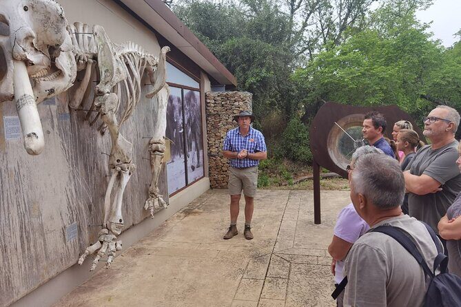 Full-Day Addo Elephant Park & Giraffe Walk - Greater Addo and the giraffe walk: why foot tracking is different