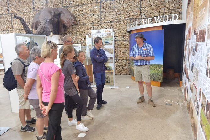Full-Day Addo Elephant Park & Giraffe Walk - Guides and small-group reality: what it’s like on the ground