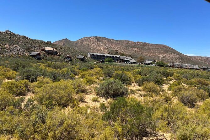 Full day Aquila Game Reserve Big 5 Safari with Wine Tasting Tour - Food, comfort, and timing: the part that quietly makes or breaks the day