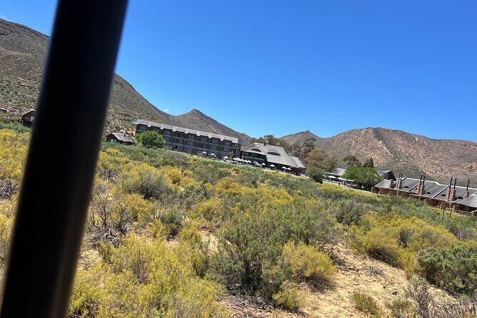 Full day Aquila Game Reserve Big 5 Safari with Wine Tasting Tour - Inside the Aquila Private Game Reserve safari: Big Five odds and how to enjoy it