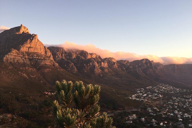 Full-Day Best of the Cape, Peninsula, Cape Point and Stellenbosch Tour - Camps Bay, Twelve Apostles, Hout Bay, and Chapman’s Peak Drive