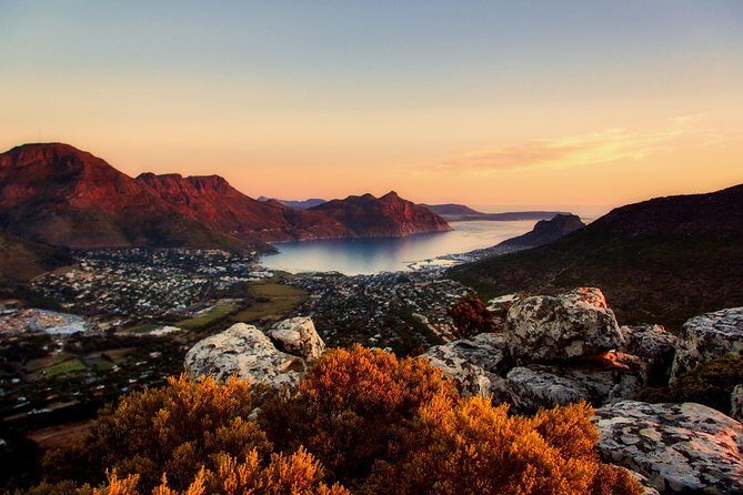 Full-Day Best of the Cape, Peninsula, Cape Point and Stellenbosch Tour - Stellenbosch and Zevenwacht: when the day turns from salt air to wine country