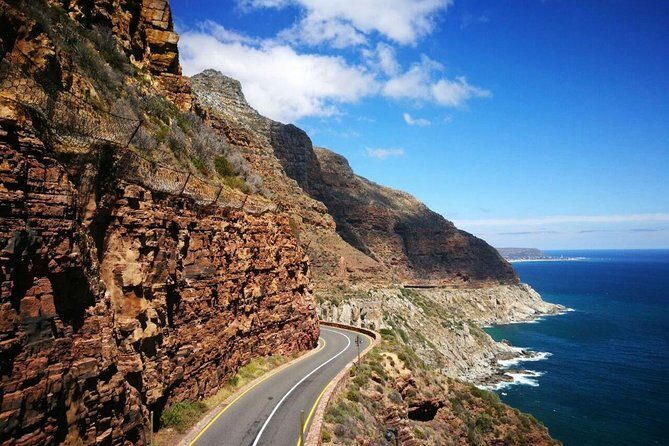 Full-Day Best of the Cape, Peninsula, Cape Point and Stellenbosch Tour - Price and value: what $152.37 buys you on the ground