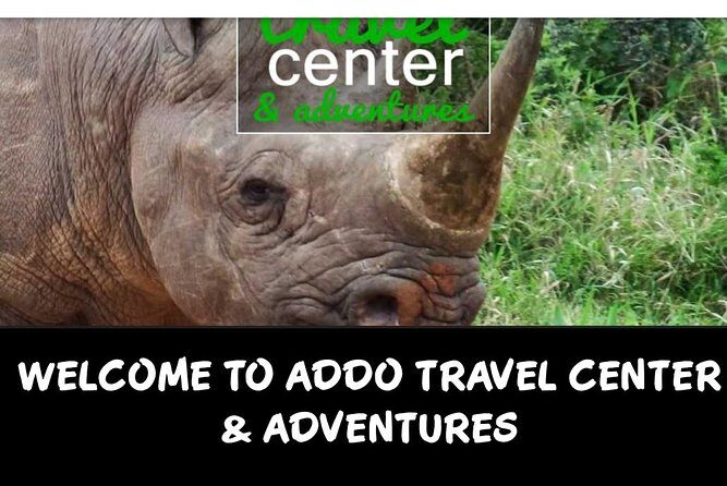 Full day big 5 addo Safari - 8:00am start and a 7–8 hour rhythm you can actually enjoy