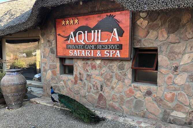 Full Day Big 5 Aquila Safari Private Transfers Including Park Fee From Cape Town - Price and logistics: does this $345 day-trip make sense?