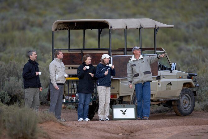 Full Day Big 5 Aquila Safari Private Transfers Including Park Fee From Cape Town - Who this safari is best for (and who might want a different style)