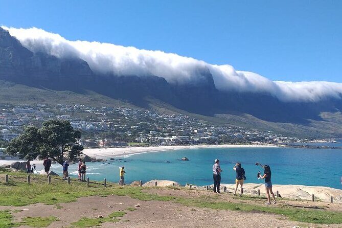 FULL Day Cape of Good Hope and Boulders Penguin Colony - Bantry Bay and Camps Bay: big Atlantic views with quick photo breaks