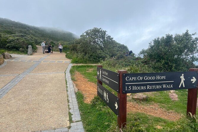 Full-Day Cape of Good Hope and Table Mountain with Penguins Tour - Key highlights worth planning for