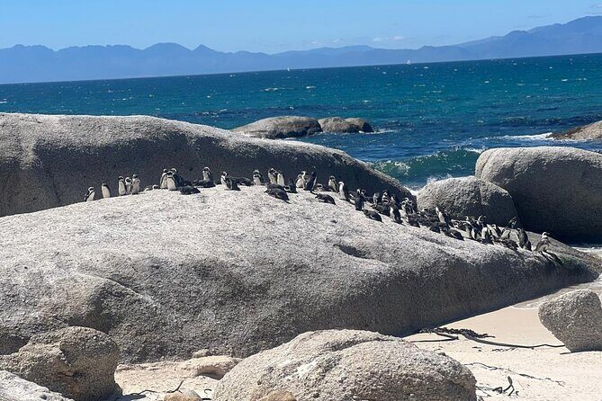 Full-Day Cape of Good Hope and Table Mountain with Penguins Tour - Getting your bearings fast: Cape Town orientation, Bo-Kaap color, and the photo-friendly start